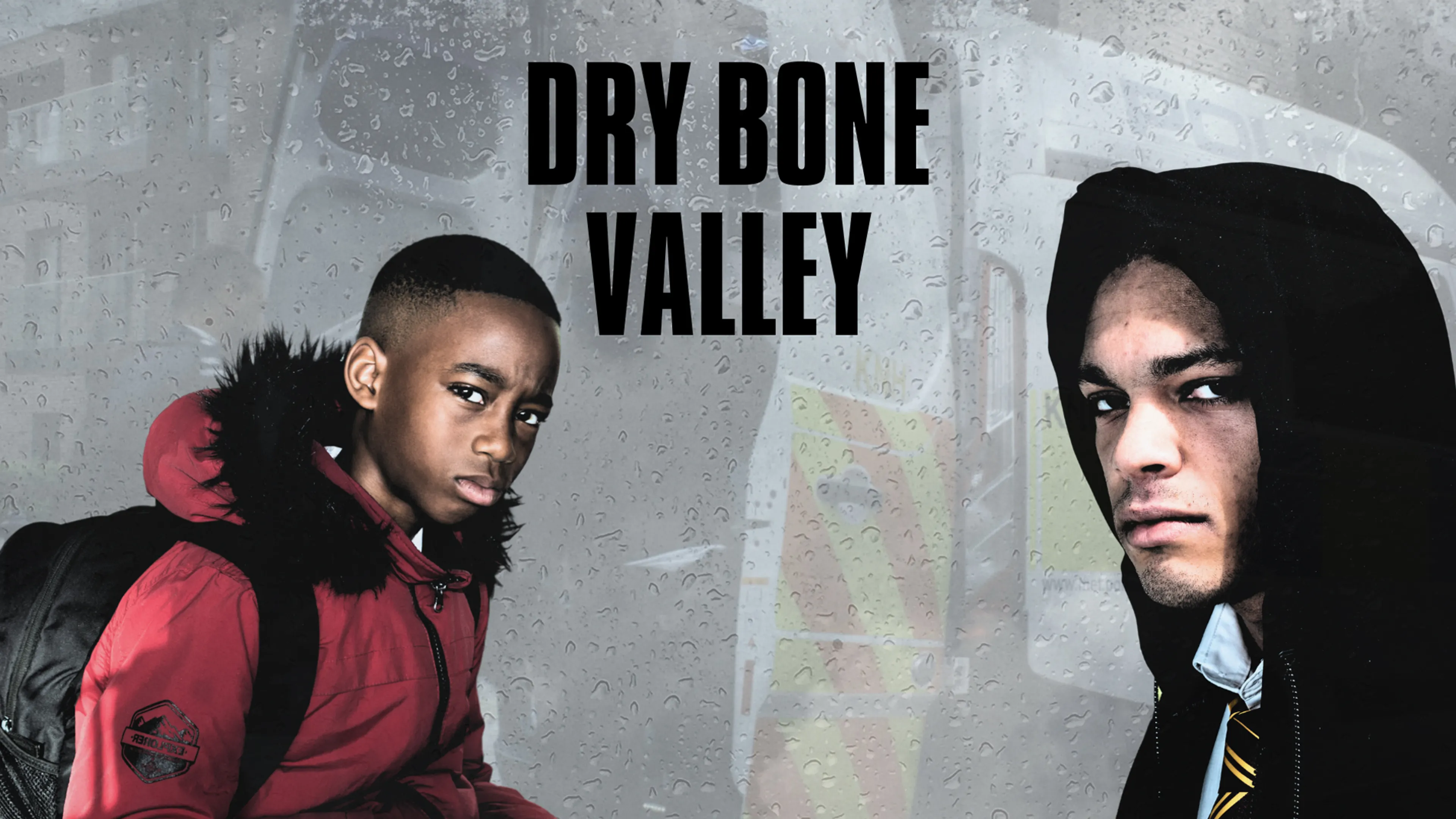 Dry Bone Valley poster
